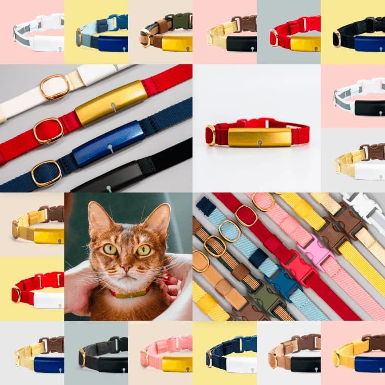 Catlog colors