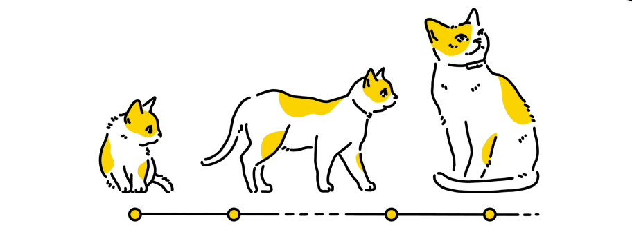 子猫から大人になるまでの成長のイラスト