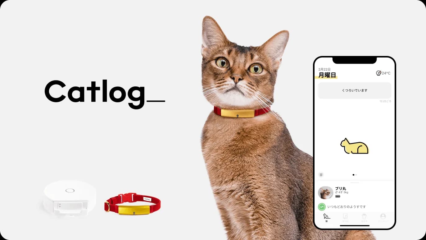 Catlog 基本セット