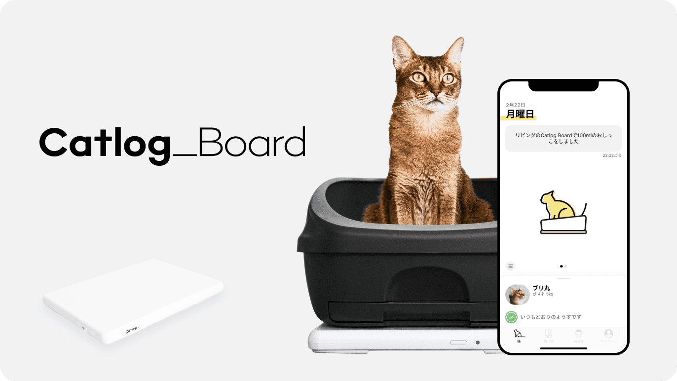 Catlog Board(キャトログボード)