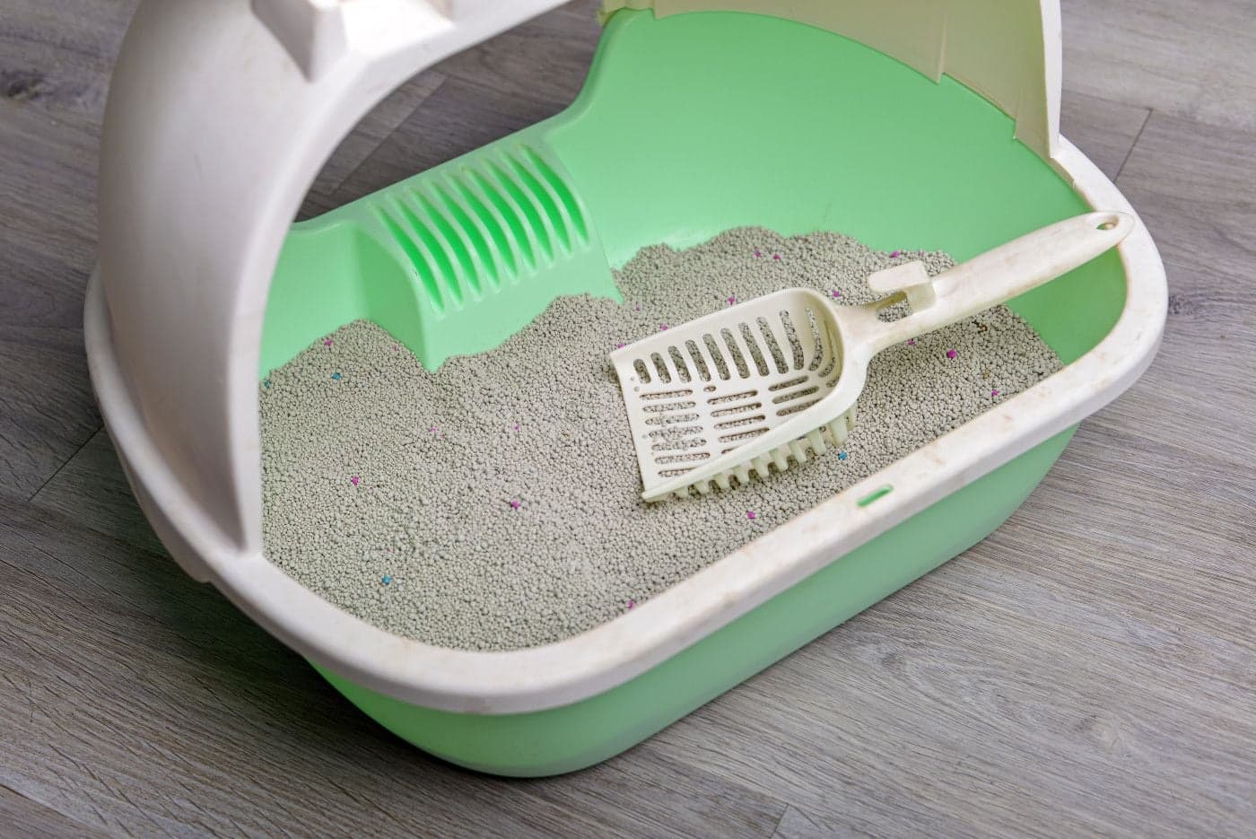 猫の排泄物を処理する際のイメージ