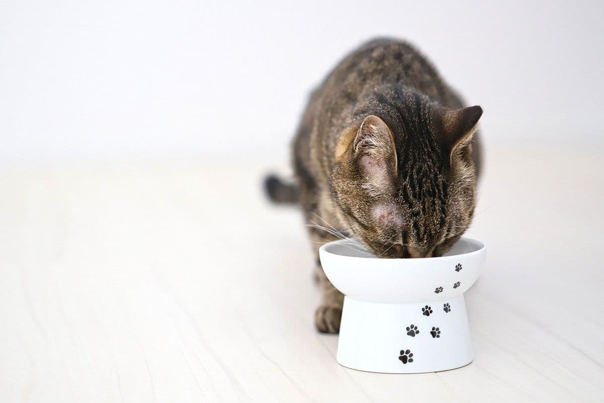 食器類
