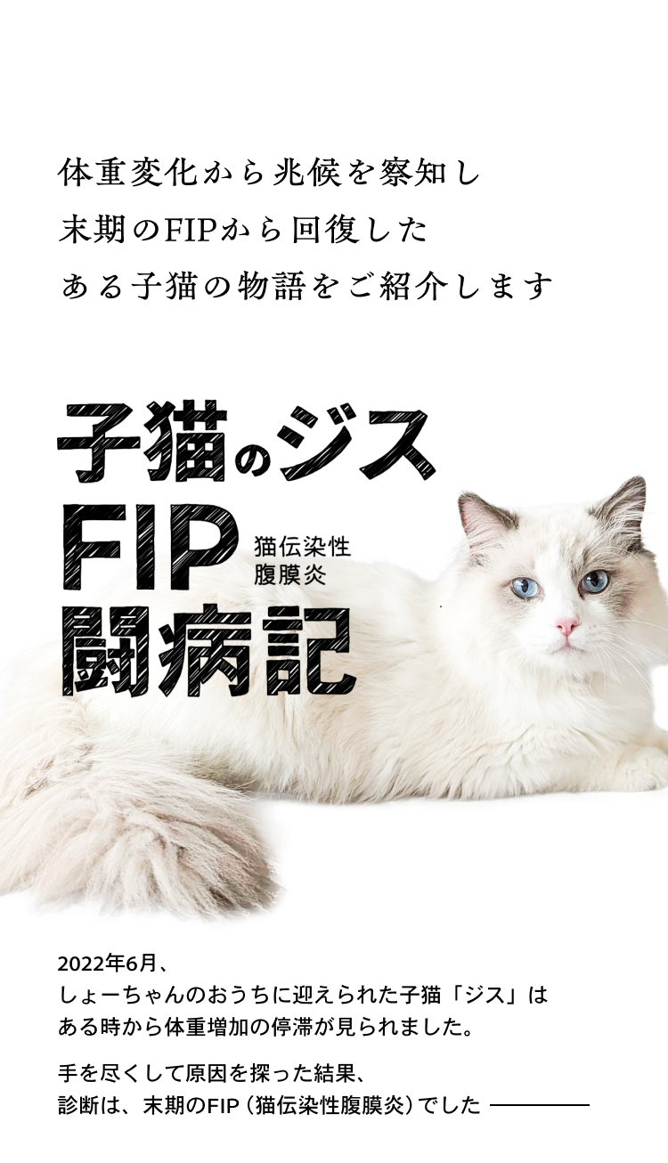 04_猫の日子猫LP23
