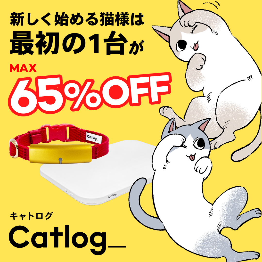 蛭塚都さん 漫画 ページ6
