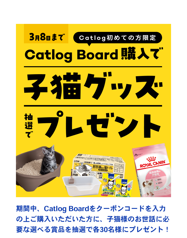 11_猫の日子猫LP23