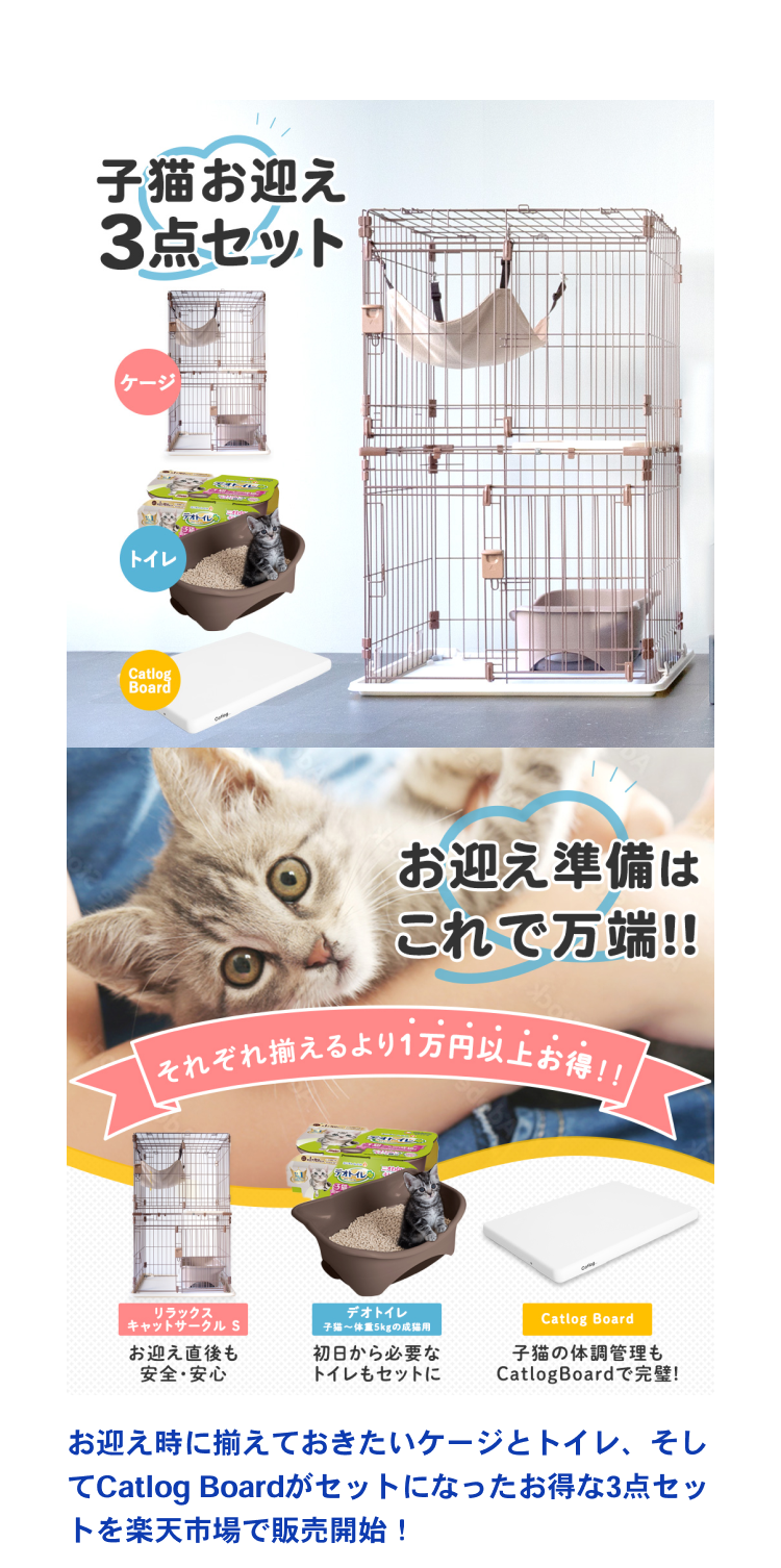 12_猫の日子猫LP23