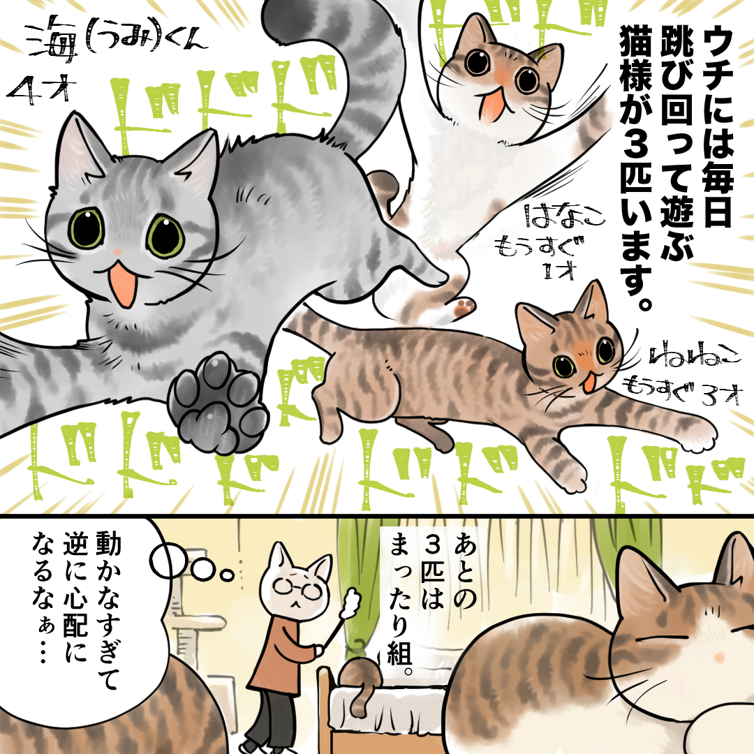 山野りんりんさん 漫画 ページ1
