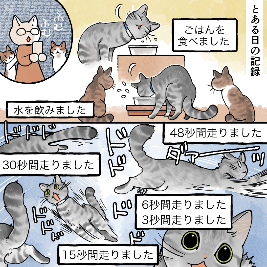 山野りんりんさん 漫画 ページ3