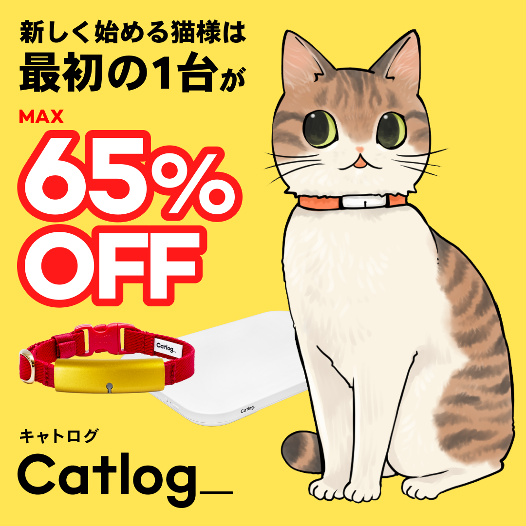 山野りんりんさん 漫画 ページ6