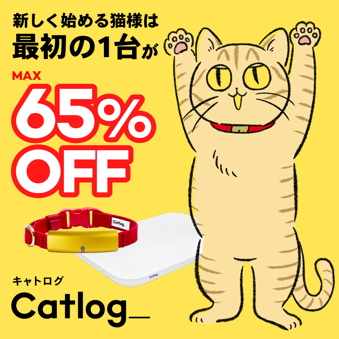 まるさん 漫画 ページ6
