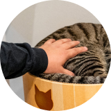 あきら