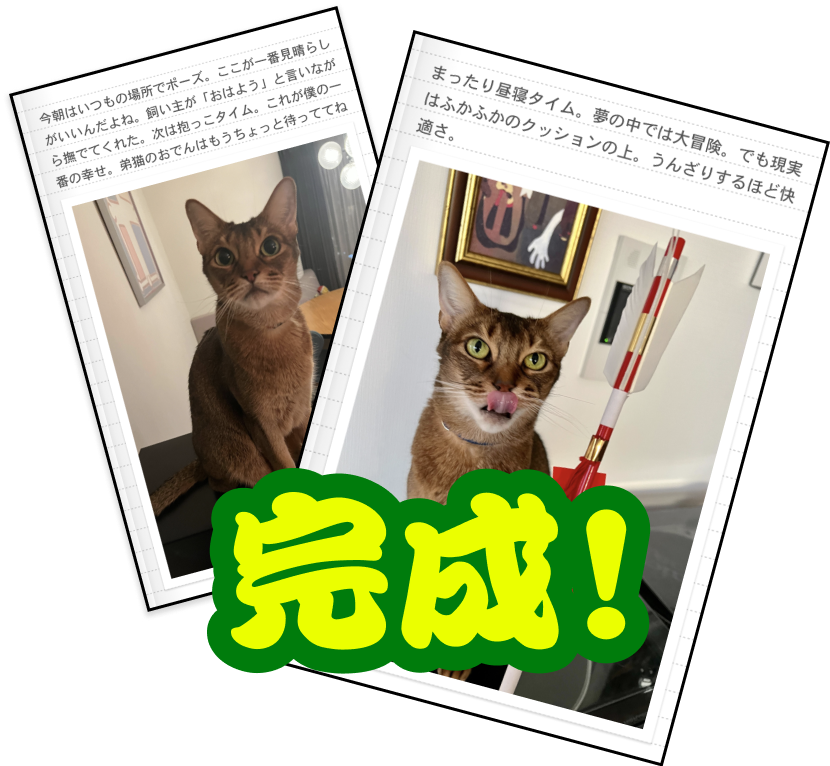 完成!