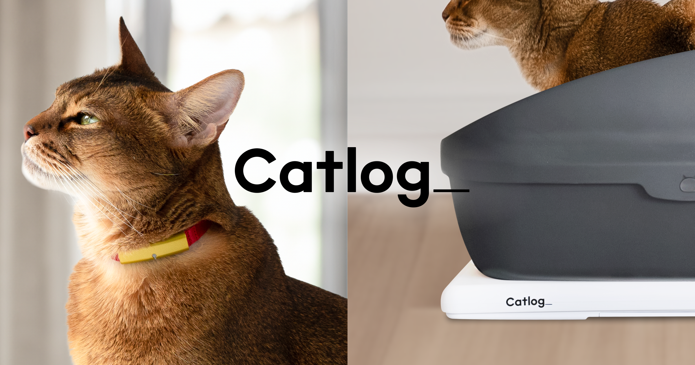 catlog 新品 Catlog の購入 | Catlog