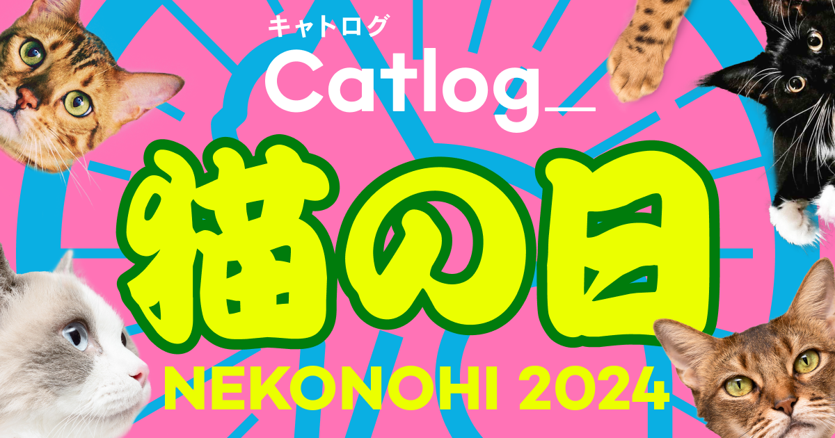 Catlog / キャトログ】猫の日 2024 | Catlog