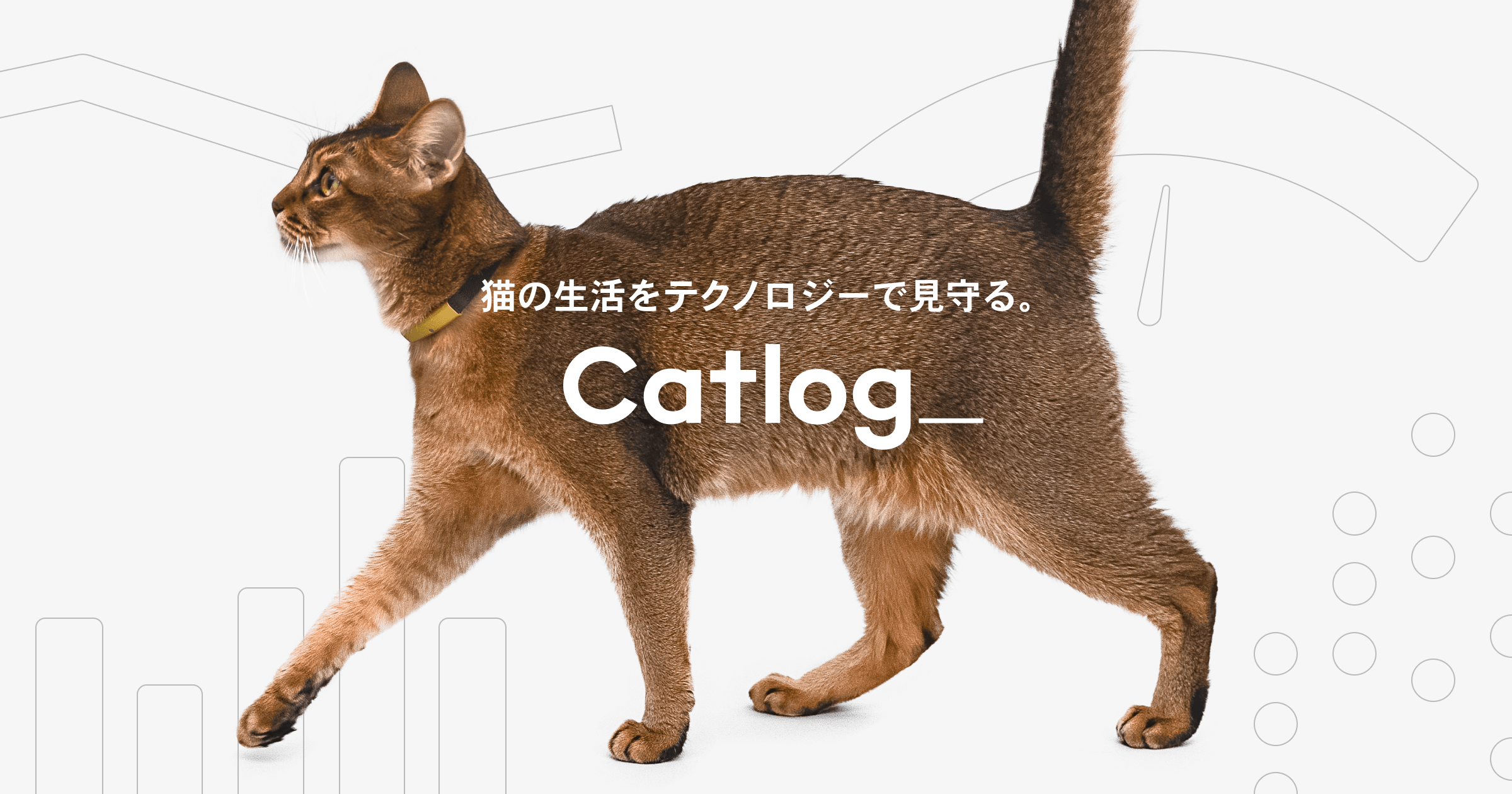 Catlog Seriesのご紹介 Rabo