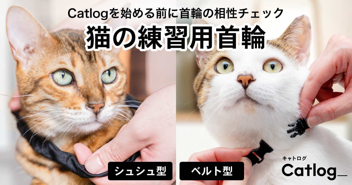 猫の練習用首輪 | Catlog