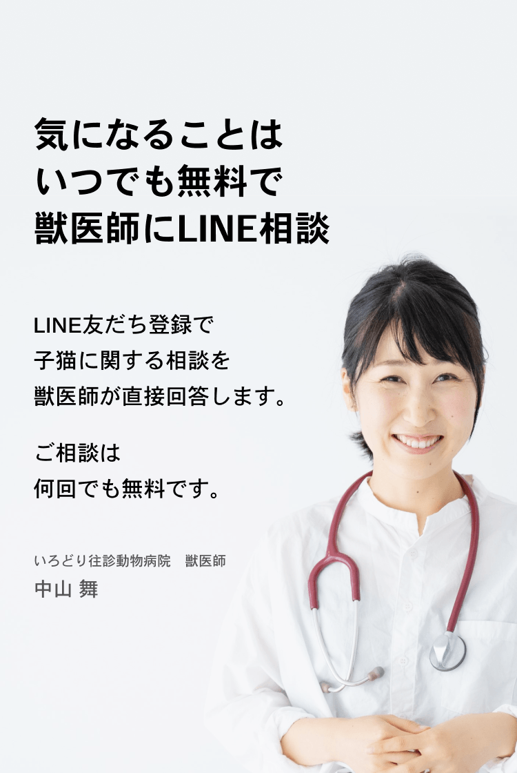 08_猫の日子猫LP23