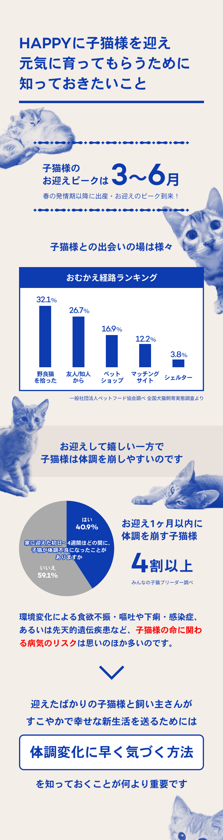 02_猫の日子猫LP23