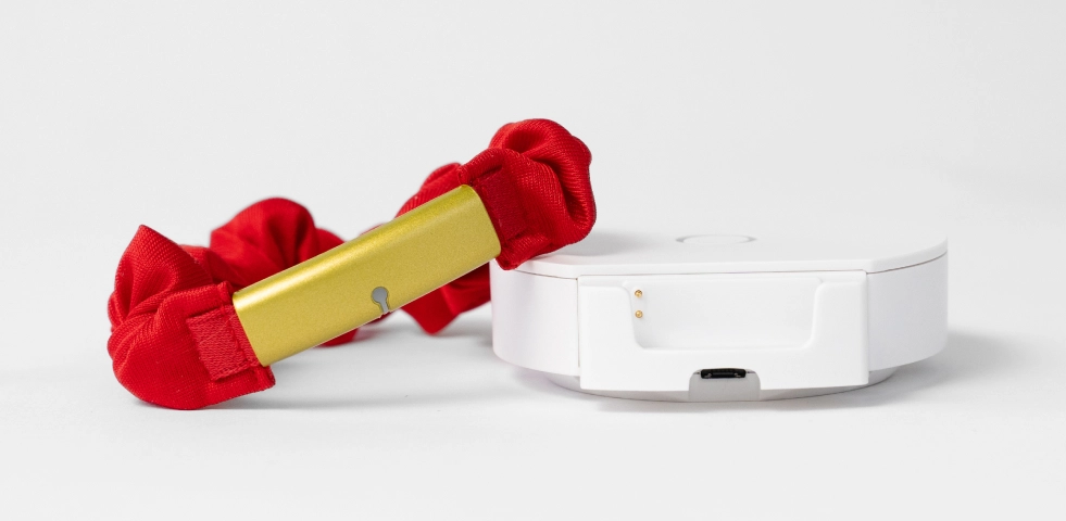 Catlog Pendant 2 の装着例(軽量で猫に優しい)