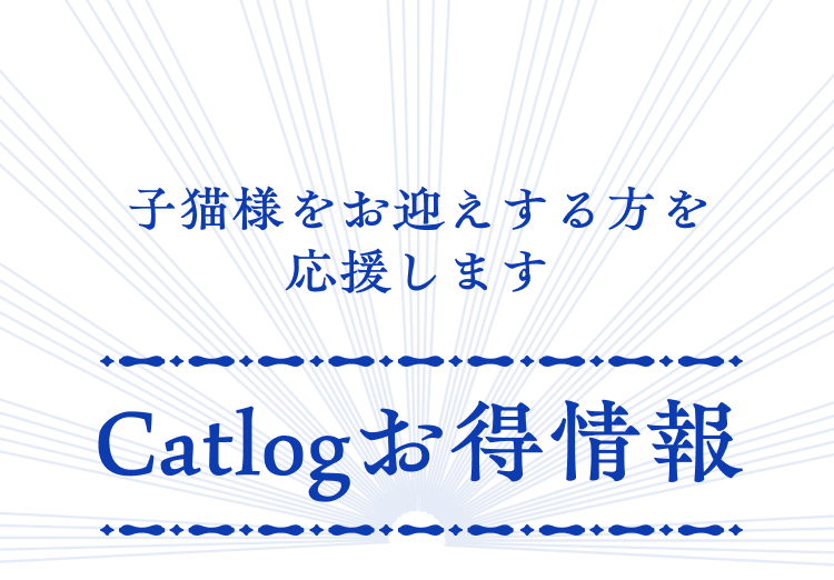 10_猫の日子猫LP23