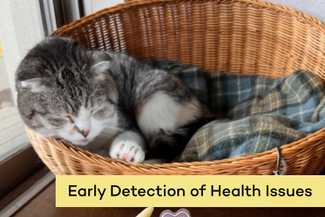 Early Detection of Health Issues