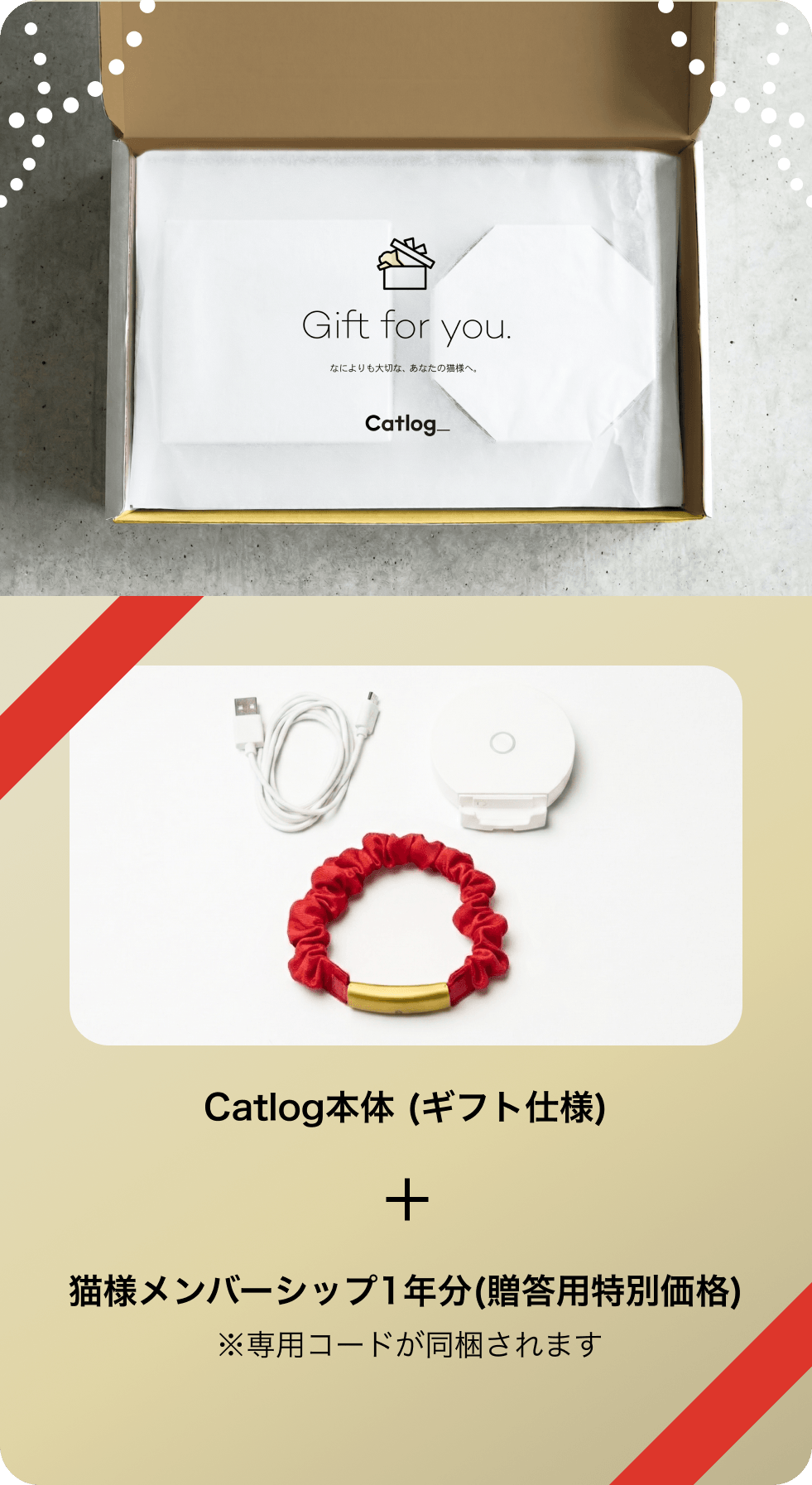Catlogギフトセットの内容