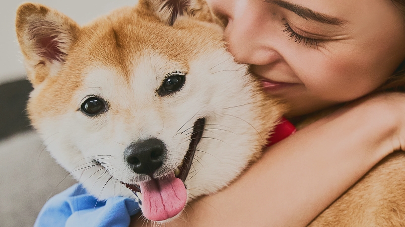 Pawlinq装着イメージ3