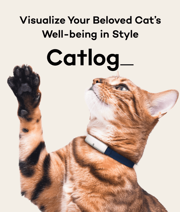 Catlog Series | Visualize Your Beloved Cat’s Well-being in Style
