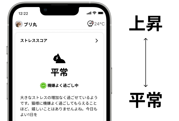 ストレススコア