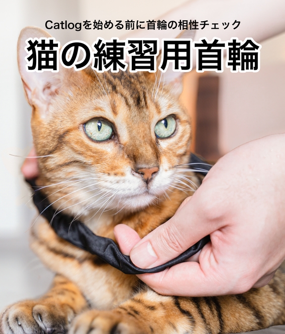 Catlogを始める前に首輪の相性チェック | 猫の練習用首輪 | NEW! シュシュ型3サイズ | 通常ベルト型2サイズ| ¥990(税込)