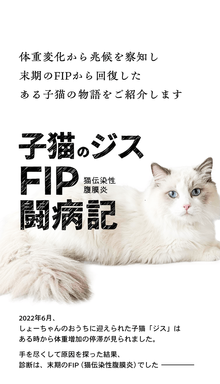 04_猫の日子猫LP23