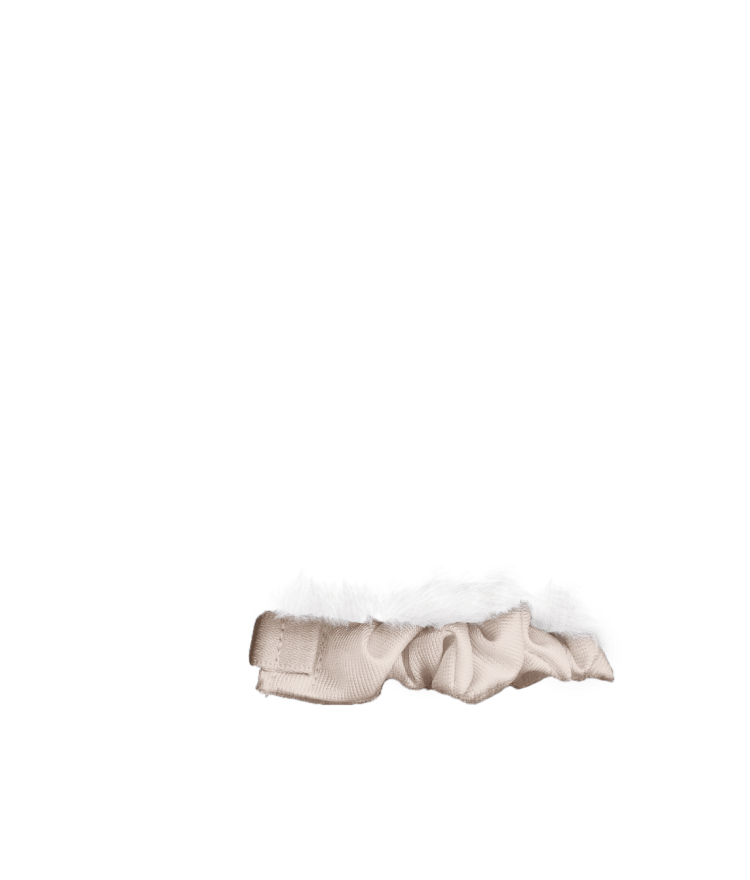 Catlog 2 の購入 | Catlog