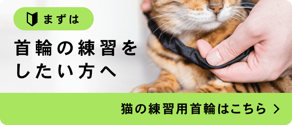 まずは首輪の練習をしたい方へ | 猫の練習用首輪はこちら