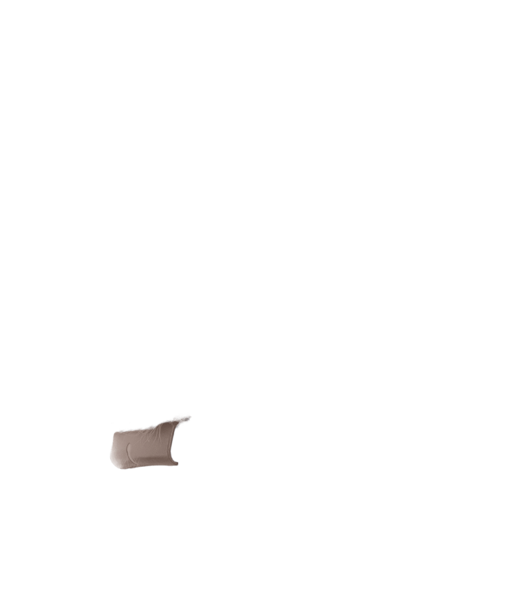 Catlog 2 の購入 | Catlog