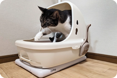 Catlog Board 2 の外観。コードレスなので電源確保が難しい場所でも使いやすい。