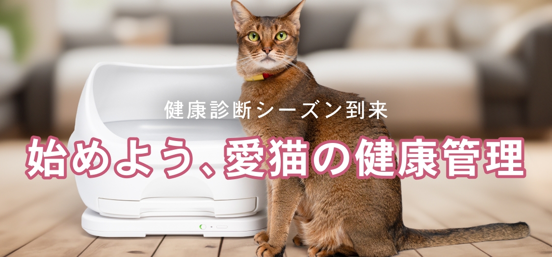 Catlog 2 次世代モデル 新発売