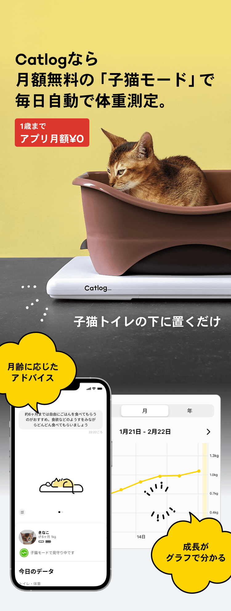 07_猫の日子猫LP23