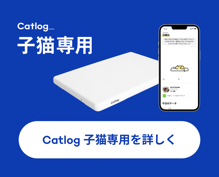 09_猫の日子猫LP23