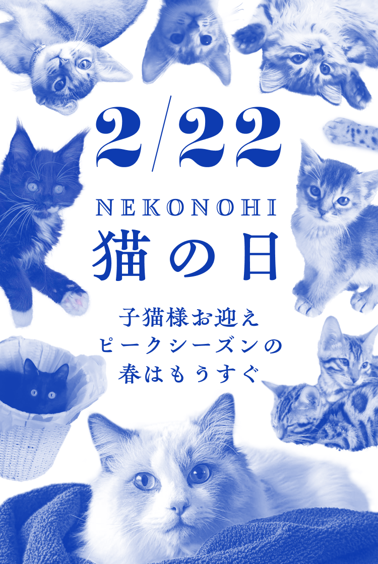 01_猫の日子猫LP23