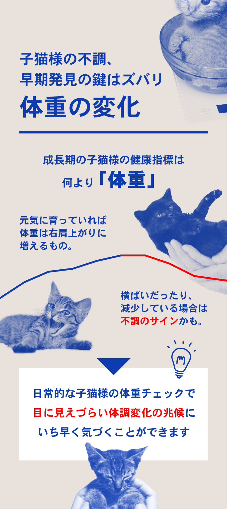 03_猫の日子猫LP23