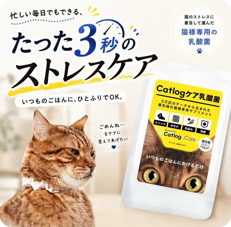 猫とCatlogケア乳酸菌のパッケージ