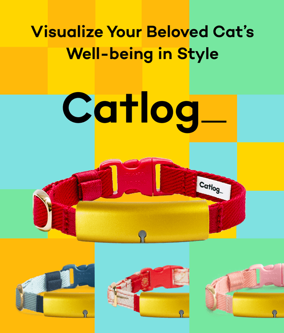 Catlog Series | Visualize Your Beloved Cat’s Well-being in Style