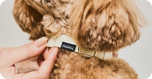 Pawlinqの高精度センサー