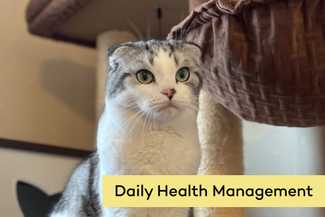Daily Health Management