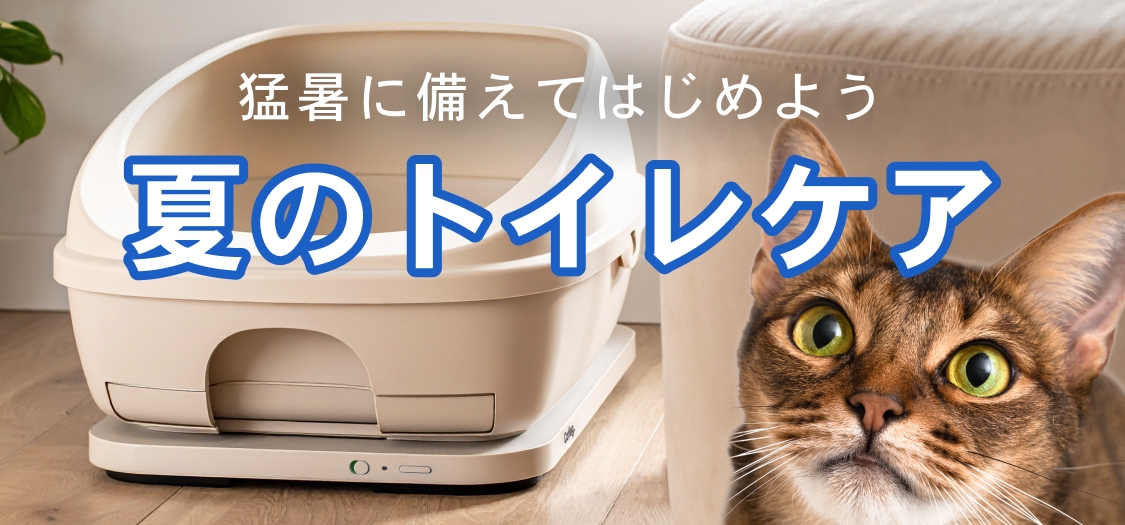 猛暑に備えてはじめよう 夏のトイレケア