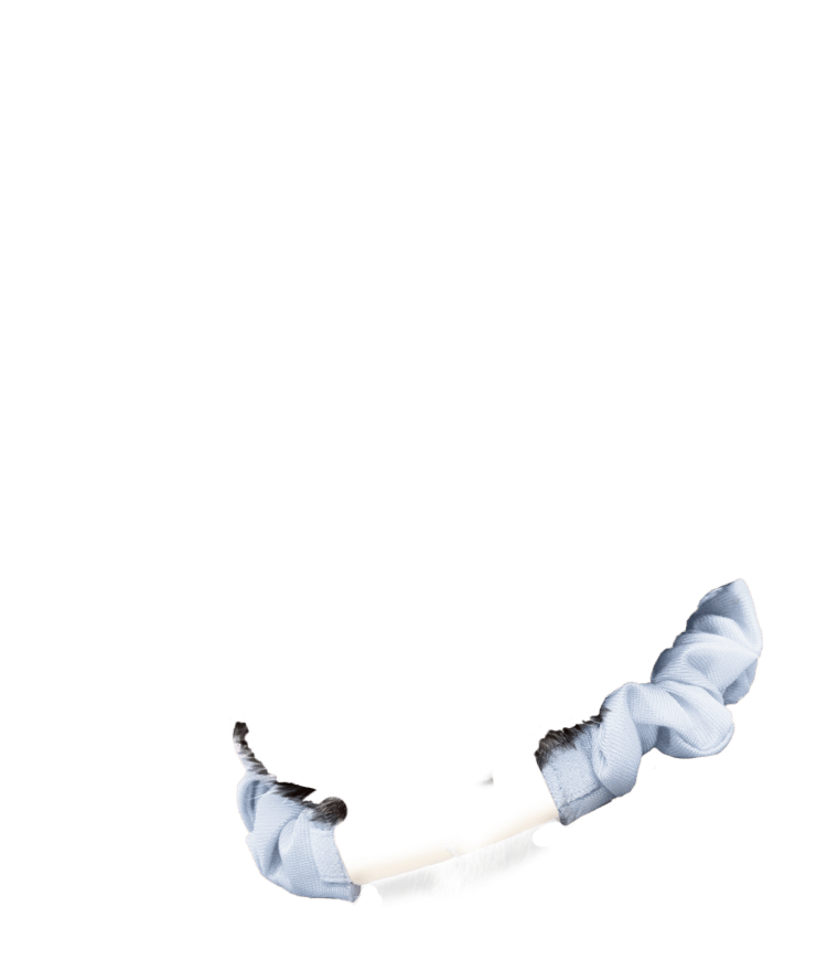 Catlog 2 の購入 | Catlog