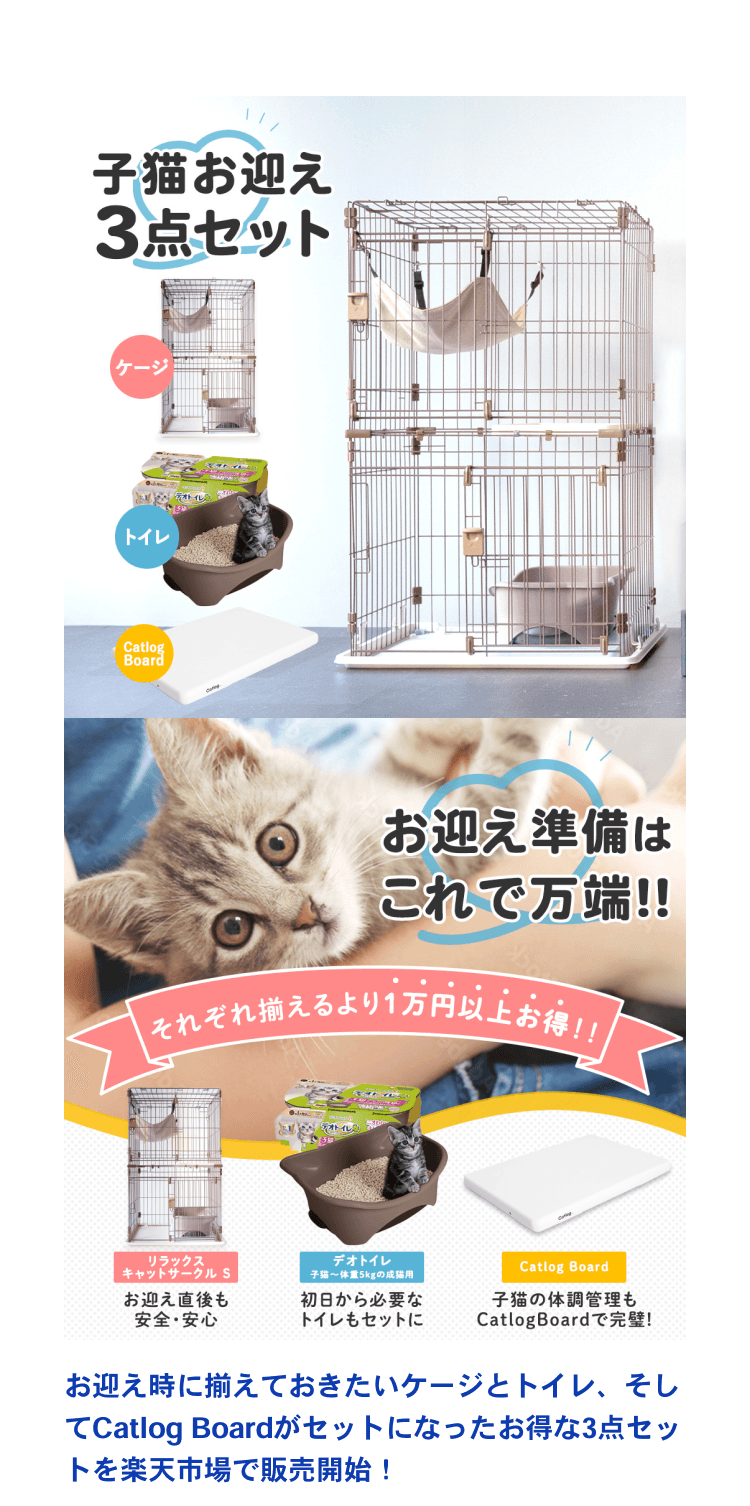 12_猫の日子猫LP23