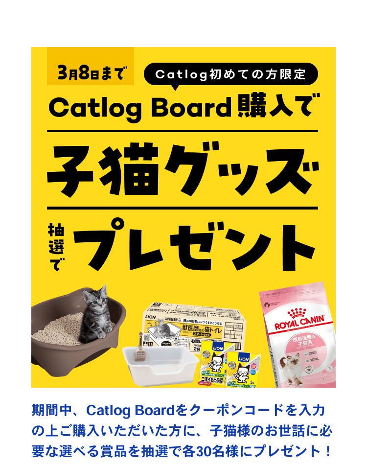 11_猫の日子猫LP23